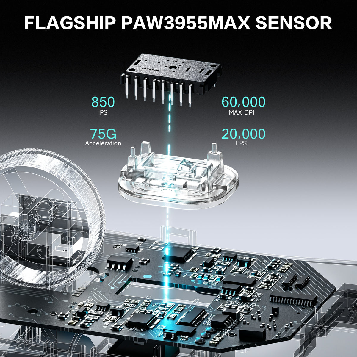 ATTACK SHARK V2 AIR PAW3955MAX 인체공학적 무선 게이밍 마우스